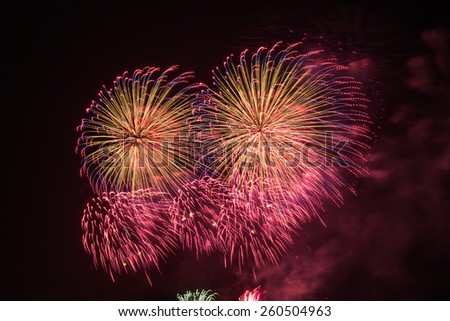 Colorful palm trees firework burst with red, orange,magenta, and blue colors,