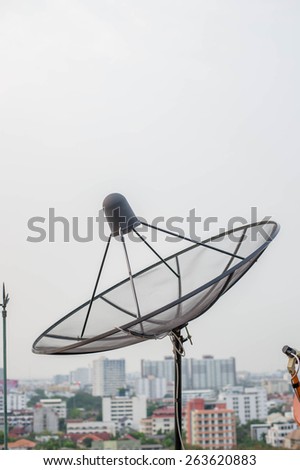 the Satellite