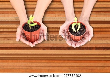 hand holding plant on stacks of piece wood background