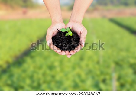 hand holding plant a tree for gardening ,for a greener world concept.