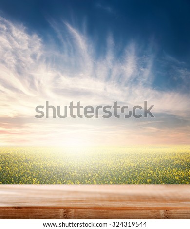 Empty tables on the natural background