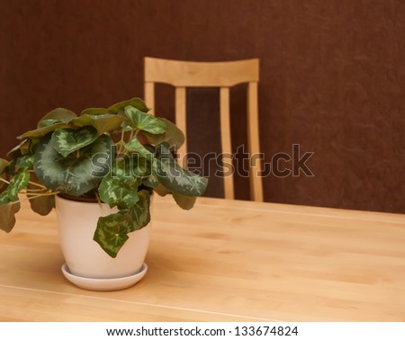 Part of interior, flower on wooden table