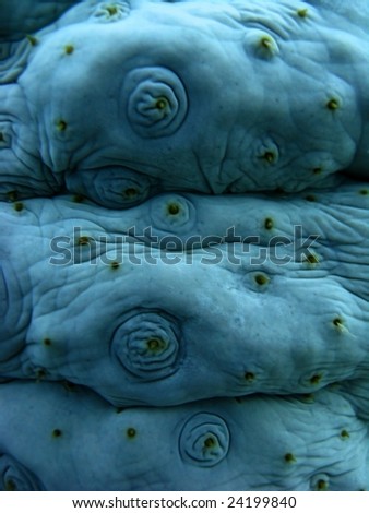 Monster skin with folds blue