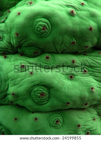 Monster skin with folds green