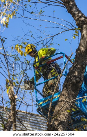 Barcelona, Spain - December 19, 2014: A maintenance worker parks and gardens pruning the branches of a tree with a chain saw to a raised platform in the old town of Barcelona