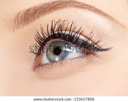 closeup portrait of young woman's eye zone make up