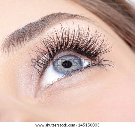 Closeup Shot Of Woman Eye With Day Makeup