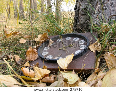 Broken clock in the forest