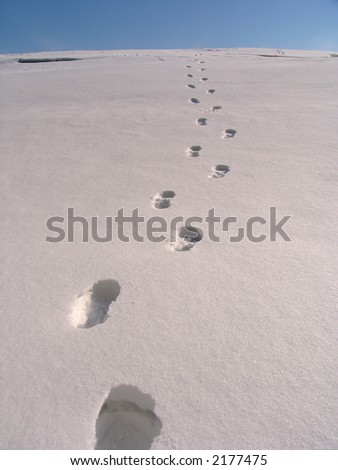 Line of Footsteps along the winter snow field