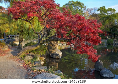 summer japanese landscape with pond and trees
