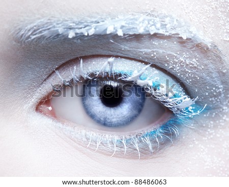 close-up body part portrait of beautiful woman\'s frozen style eye zone make up