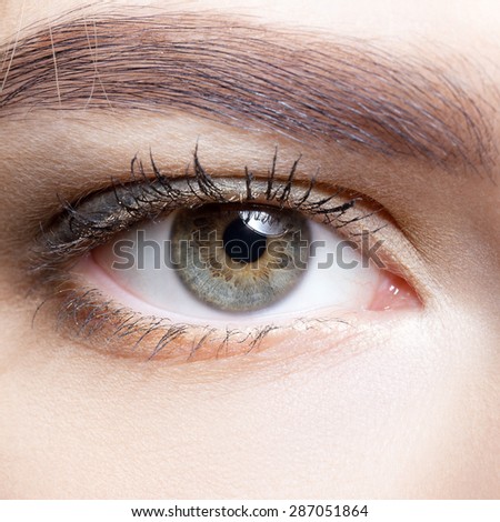 Close-up shot of female eye makeup