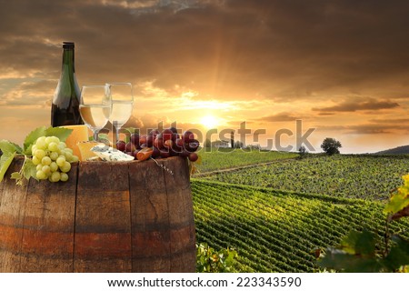 White wine with barrel on vineyard in Chianti, Tuscany, Italy