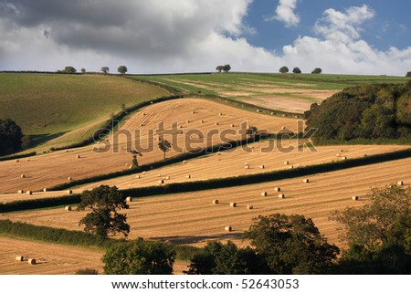 england countryside during harvest