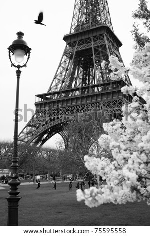 black and white pictures of paris. in lack and white style,