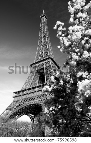 black and white pictures of paris france. lack and white pictures of