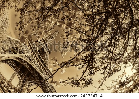 Famous Eiffel Tower with spring tree in Paris, France