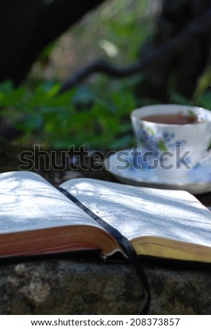 A cup of hot tea and Bible study on a granite boulder in the park.