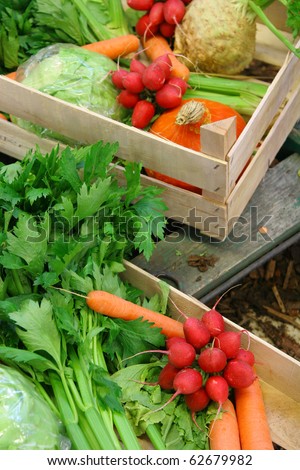 Farm vegetable market