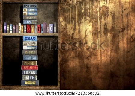 In wall Bookshelf and The World John 3 16 In wall Bookshelf and The World John 3 16