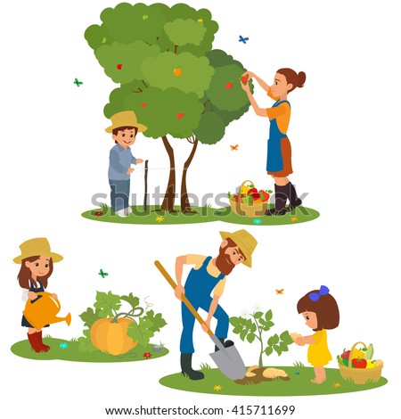 people harvest fruits and vegetables. family farm harvests and caring for plants. vector. female farmer, female farmer.
