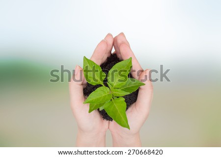 tree in hand  background