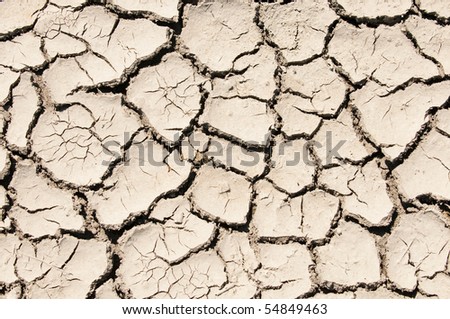 a background of cracked clay soil