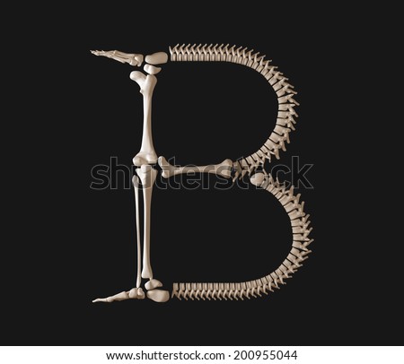 Bone Font Letter B. Skeleton Alphabet Isolated On Black Background ...