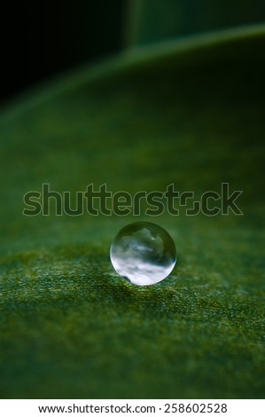 The round drop of dew on green leaf close up.After the rain.Spring