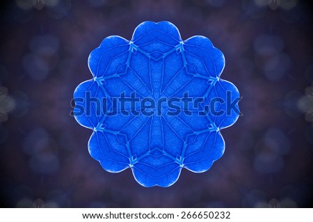 Abstract blue flower background ,created technique from leaf