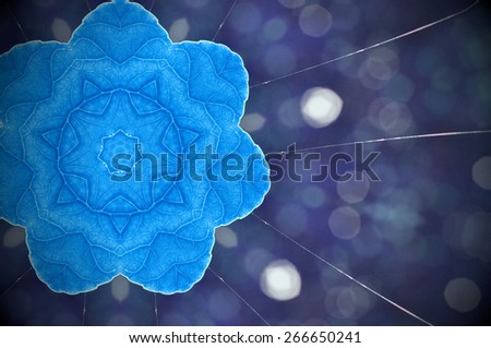 Abstract blue flower ,created technique from leaf