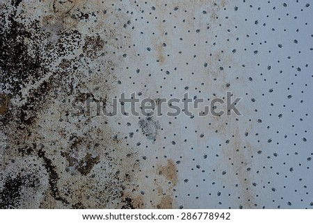 Black mold buildup in the old wall house
