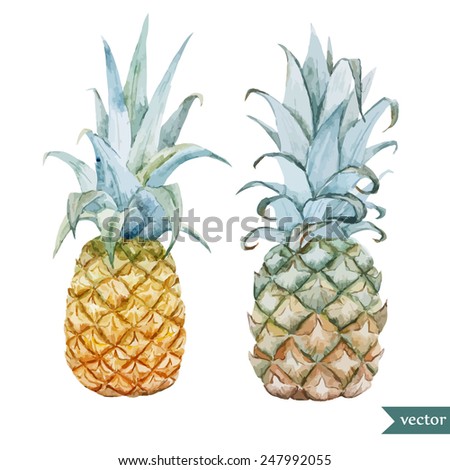 pineapple, watercolor, fruit, food, vitamins