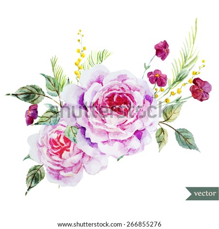 mimosa, flowers, rose, watercolor, vector
