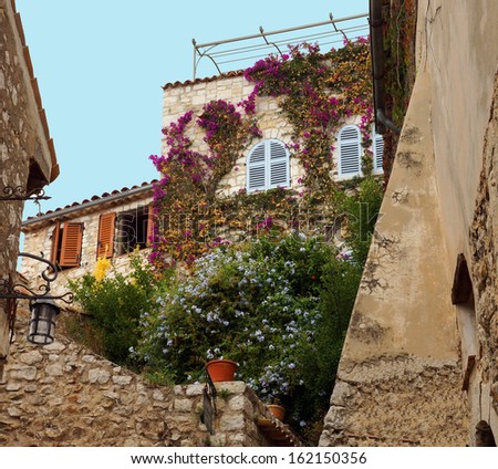 Colorful flowers and vines climb the walls of an old French building