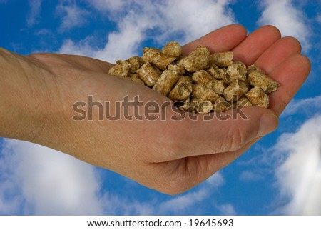Hand holding heating-pellets, environment safe.