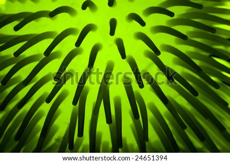 Green tentacles from an alien or a deep sea fish. Black background. Might just be a childs toy.