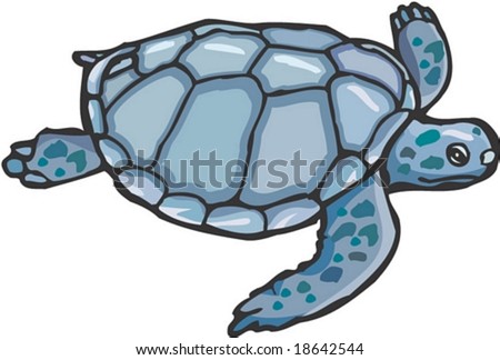 Character Turtle