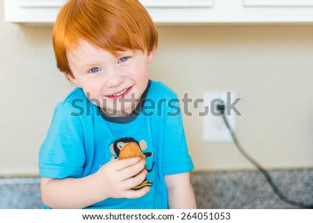 Young boy eating a snickerdoodle cookie in his kitchen. Photo taken in a home in Reno, Nevada, USA using natural window light.