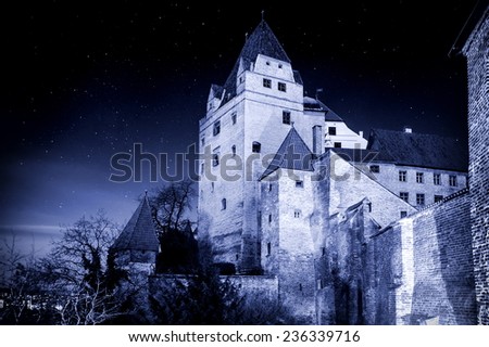 Dark medieval castle in the moon light