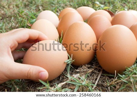 Child\'s hand hold a fresh eggs on grass background. Select focus on an egg in a  central of frame.