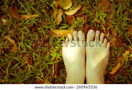 Woman\'s feet on  grass.  Top view. Relaxing concept. Vintage and hi-contrast style.
