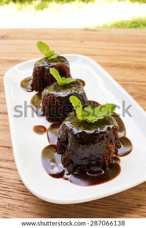 Chocolate cake with chocolate sauce decorate with mint leaf on white plate. On wood table and garden view. Home made.