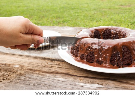 Woman\'s hand cutting chocolate cake with chocolate sauce on white plate. On wood table and garden view. Home made.