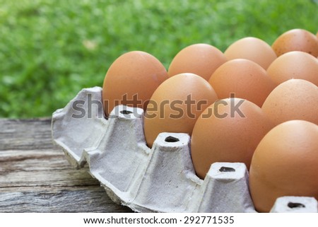 Closeup egg in paper tray. On wooden table with garden view.