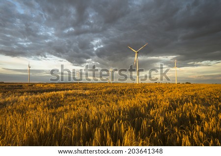 Wind turbines, pure energy,windmills in the fields in Germany