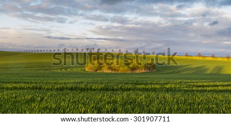 Photo Of Corn Field Landscape after storm,