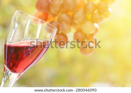 Glass of red wine in front of a hanging branch of grapes in a vineyard. vintage look and sun burst filters applied