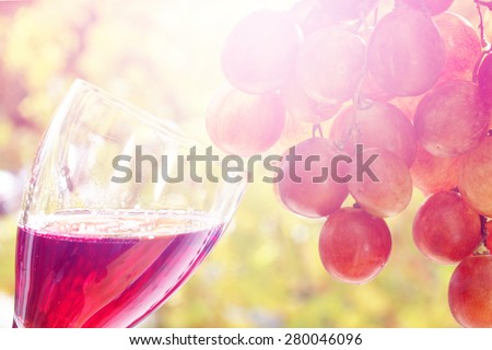 Glass of red wine with hanging grapes in a vineyard background. pinkish vintage look and sun burst filters applied