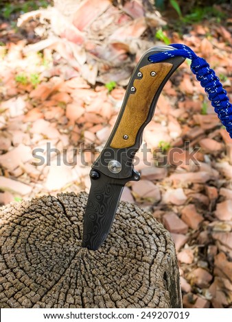 Folding pocket knife with brown handle stuck in a stump